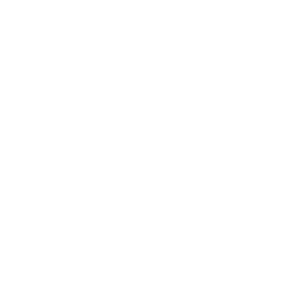 Pizza Project Shop